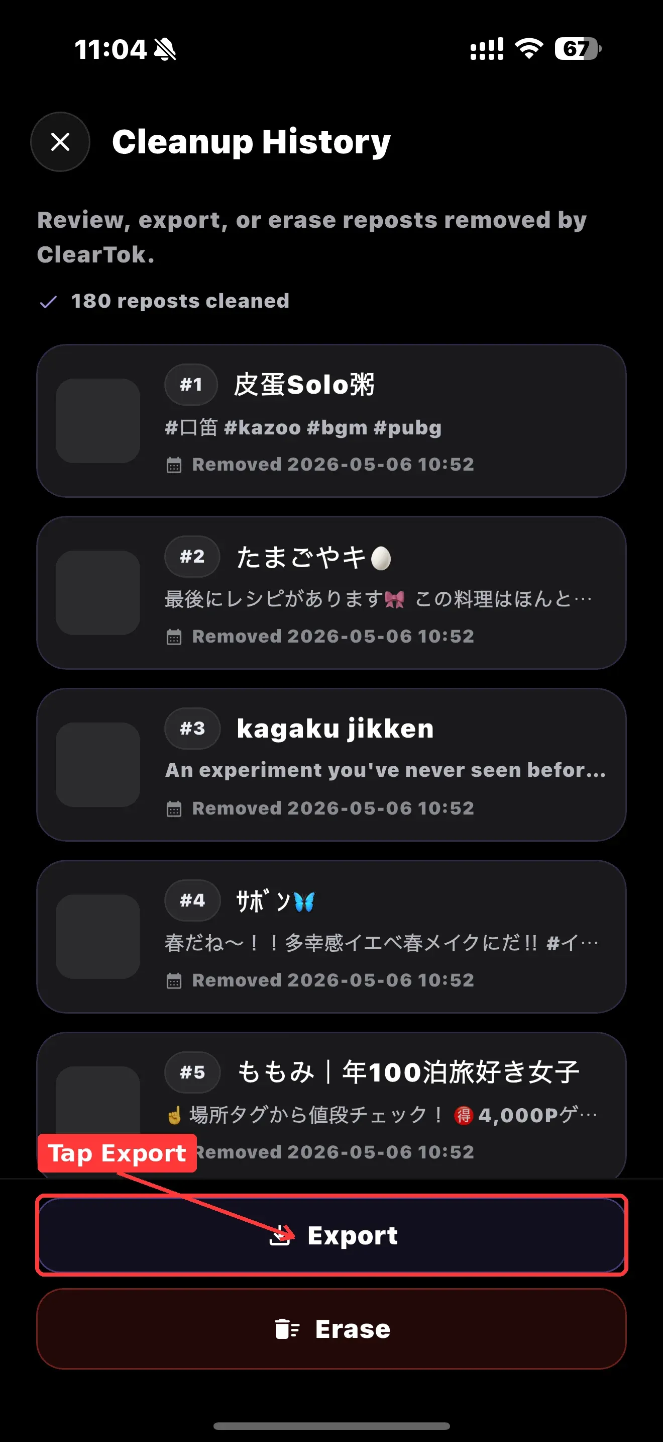 Cleanup History screen in ClearTok with the Export button highlighted